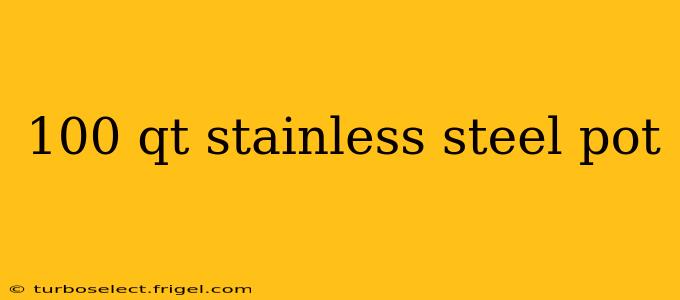 100 qt stainless steel pot