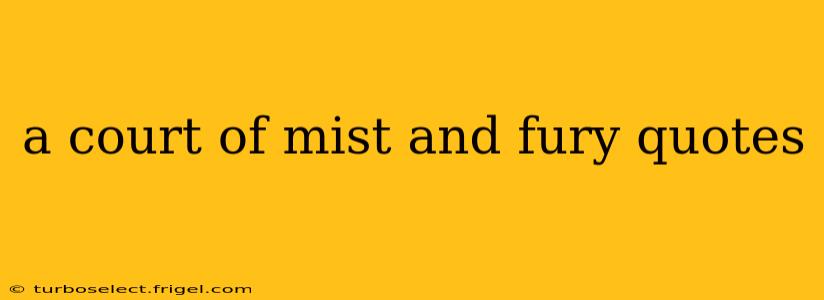 a court of mist and fury quotes