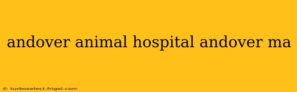 andover animal hospital andover ma