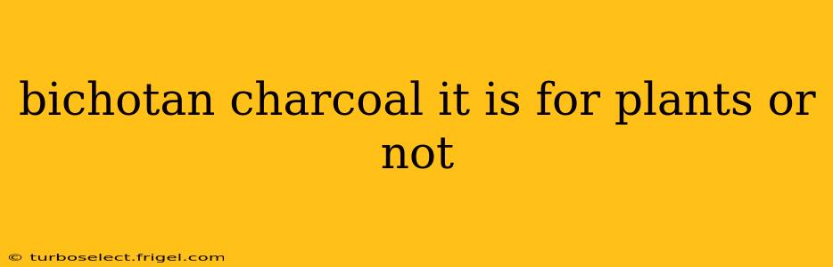 bichotan charcoal it is for plants or not