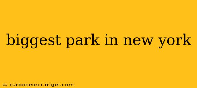 biggest park in new york