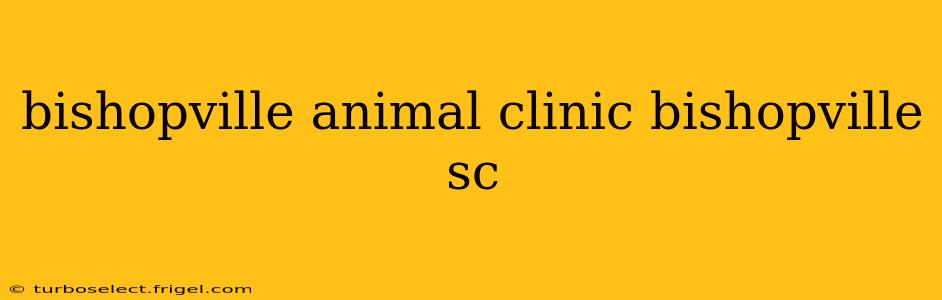 bishopville animal clinic bishopville sc
