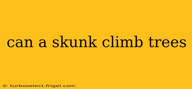 can a skunk climb trees