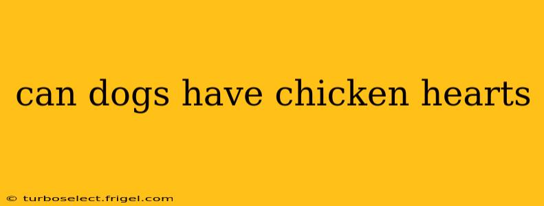 can dogs have chicken hearts