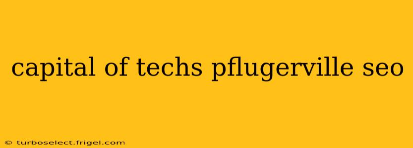 capital of techs pflugerville seo