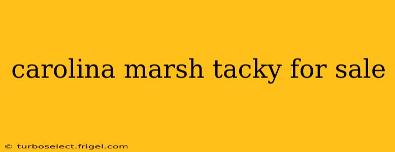carolina marsh tacky for sale