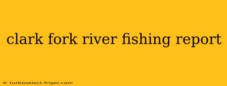 clark fork river fishing report