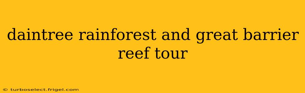 daintree rainforest and great barrier reef tour