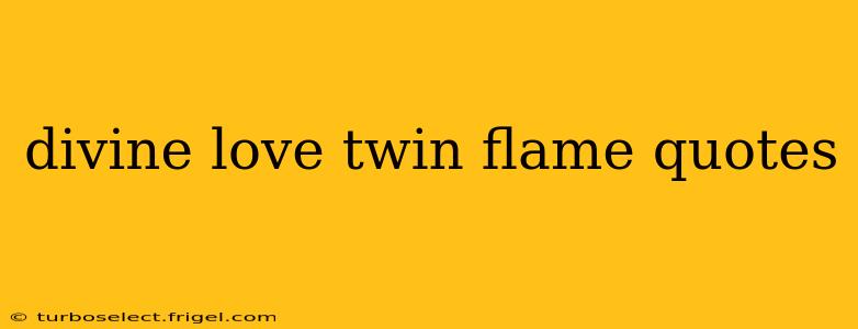 divine love twin flame quotes