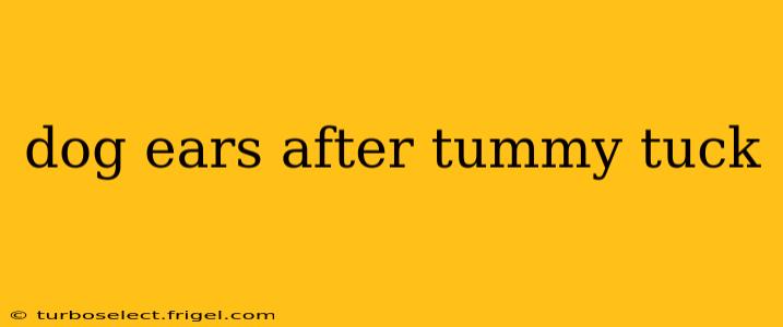 dog ears after tummy tuck