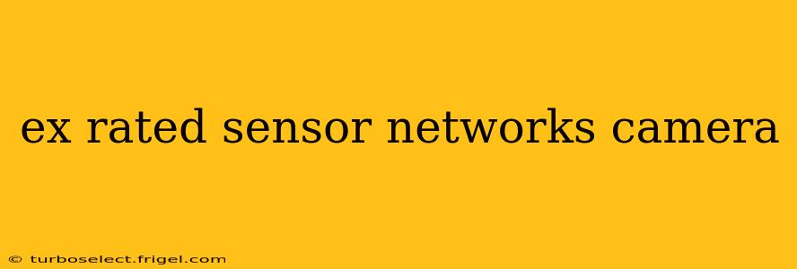 ex rated sensor networks camera