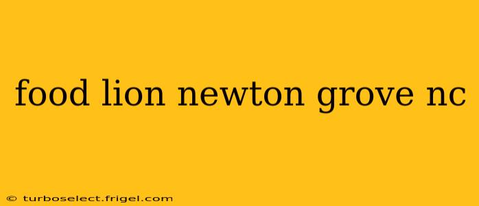food lion newton grove nc