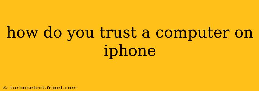 how do you trust a computer on iphone