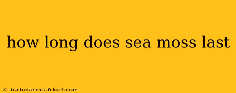how long does sea moss last