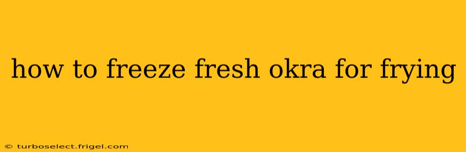 how to freeze fresh okra for frying