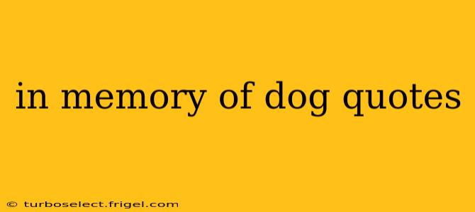 in memory of dog quotes