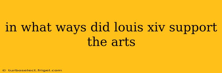 in what ways did louis xiv support the arts