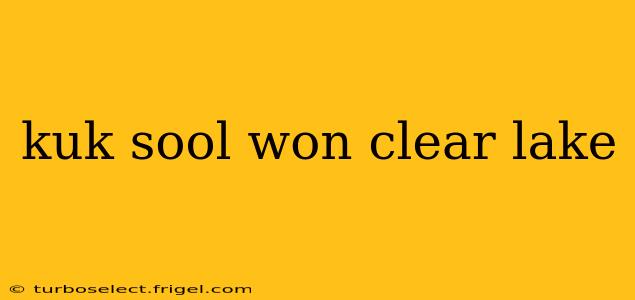 kuk sool won clear lake