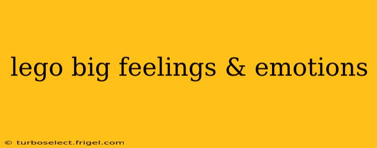 lego big feelings & emotions