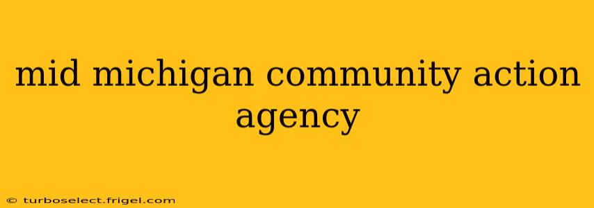 mid michigan community action agency