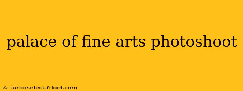 palace of fine arts photoshoot