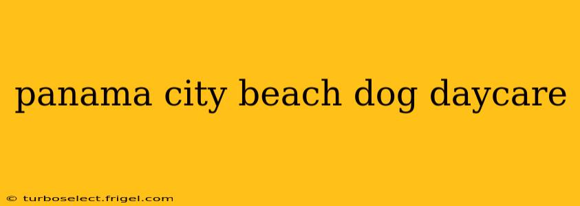 panama city beach dog daycare