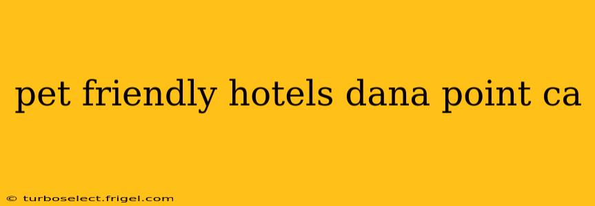 pet friendly hotels dana point ca