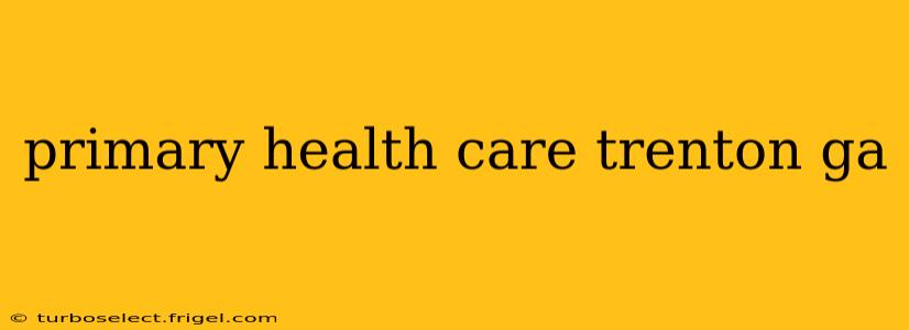 primary health care trenton ga
