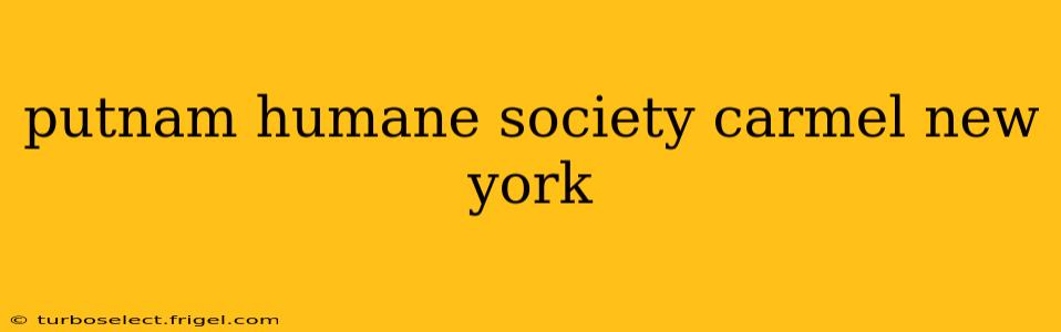 putnam humane society carmel new york