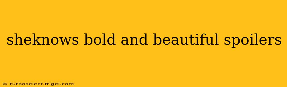 sheknows bold and beautiful spoilers