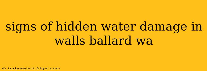 signs of hidden water damage in walls ballard wa