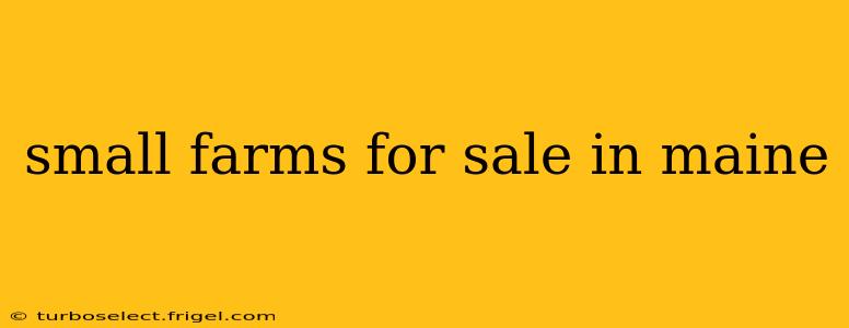 small farms for sale in maine