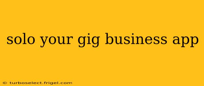 solo your gig business app