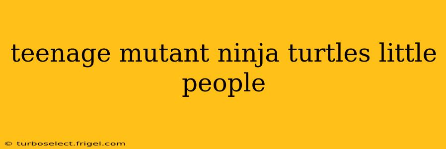 teenage mutant ninja turtles little people