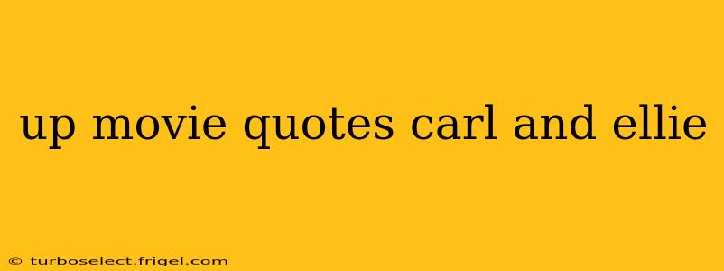 up movie quotes carl and ellie