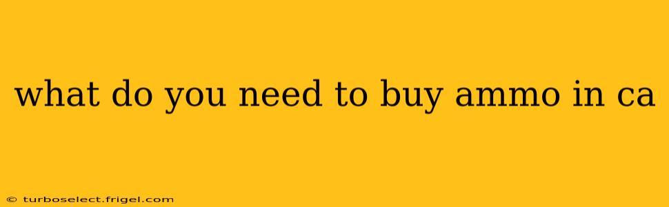 what do you need to buy ammo in ca