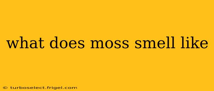what does moss smell like