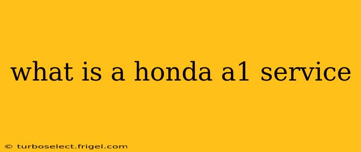 what is a honda a1 service