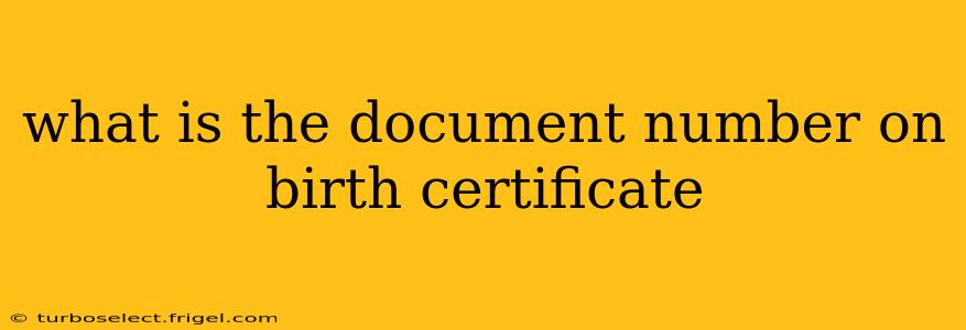 what is the document number on birth certificate