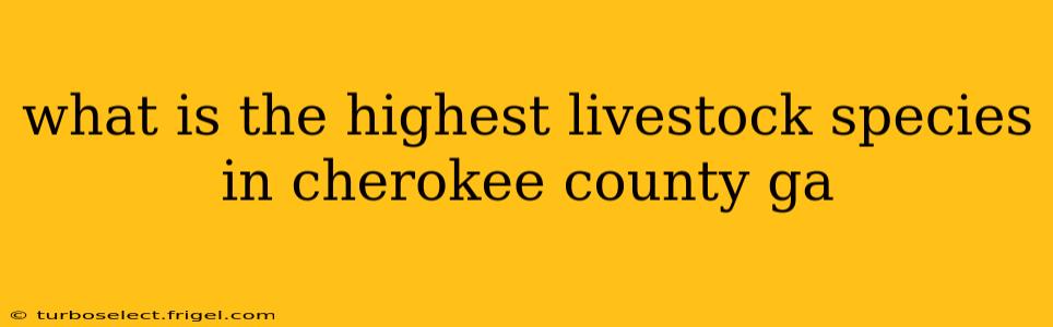 what is the highest livestock species in cherokee county ga