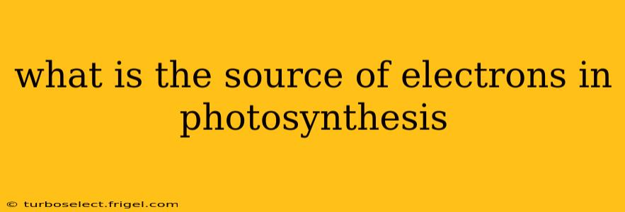 what is the source of electrons in photosynthesis