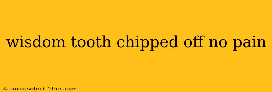 wisdom tooth chipped off no pain